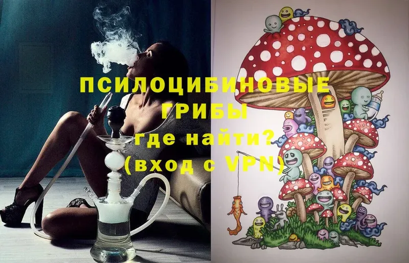 Галлюциногенные грибы Magic Shrooms  продажа наркотиков  Болотное 